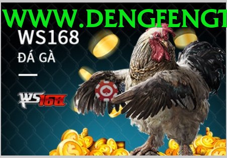 Đá Gà Trực Tiếp - Trải nghiệm tuyệt vời