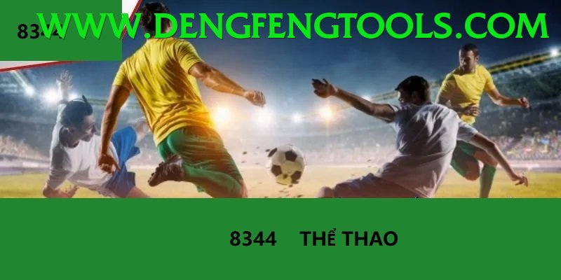Cá Cược Thể Thao - 555win
